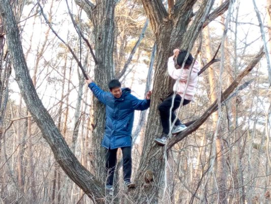 UWC ISAK Japan Grade 11 climbing a tree on the forest's campus