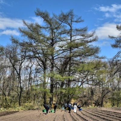 UWC ISAK Japan students farming with the local community in Karuizawa